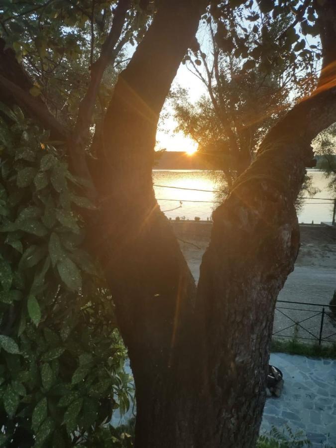 Villa Bora Kuce Na Reci Belgrado Exterior foto