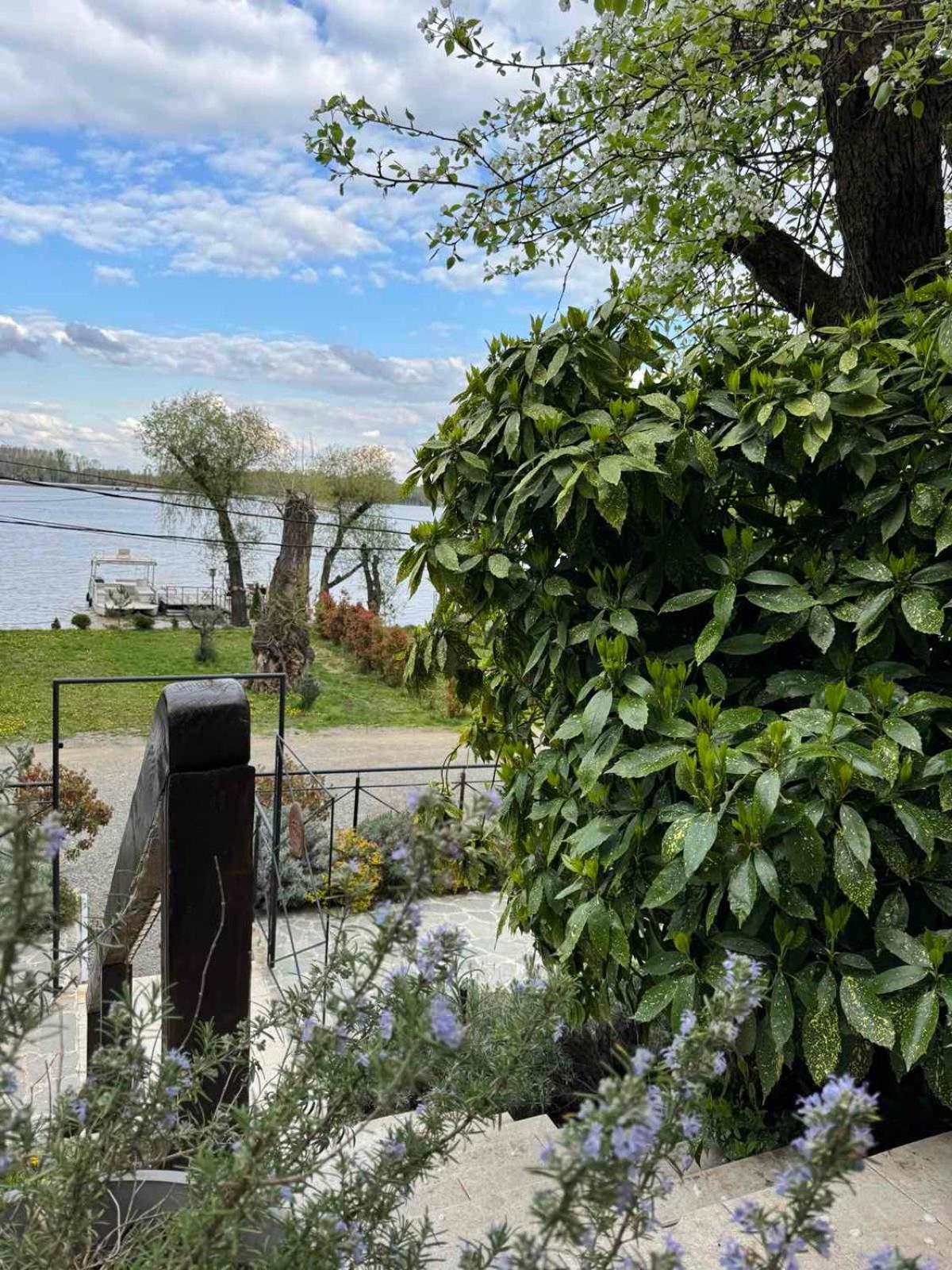 Villa Bora Kuce Na Reci Belgrado Exterior foto